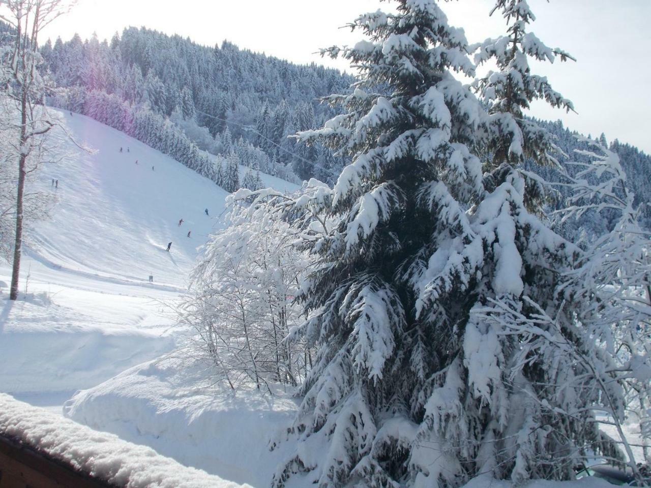 Chalet Jonquille Les Gets Exterior foto