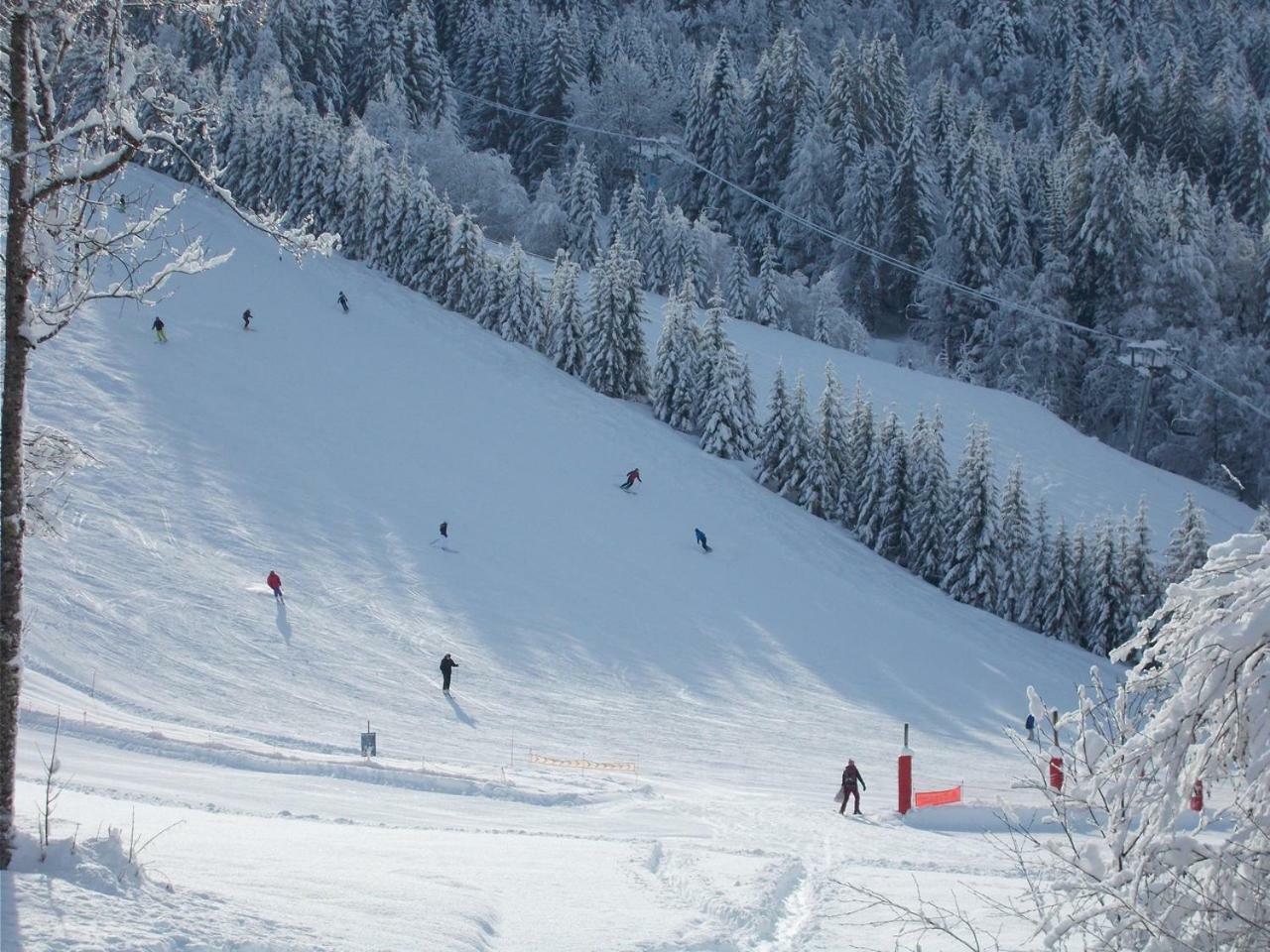 Chalet Jonquille Les Gets Exterior foto